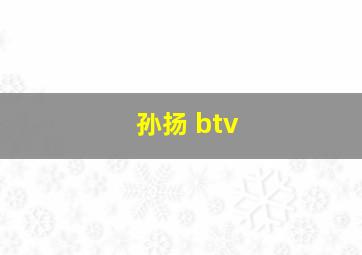 孙扬 btv